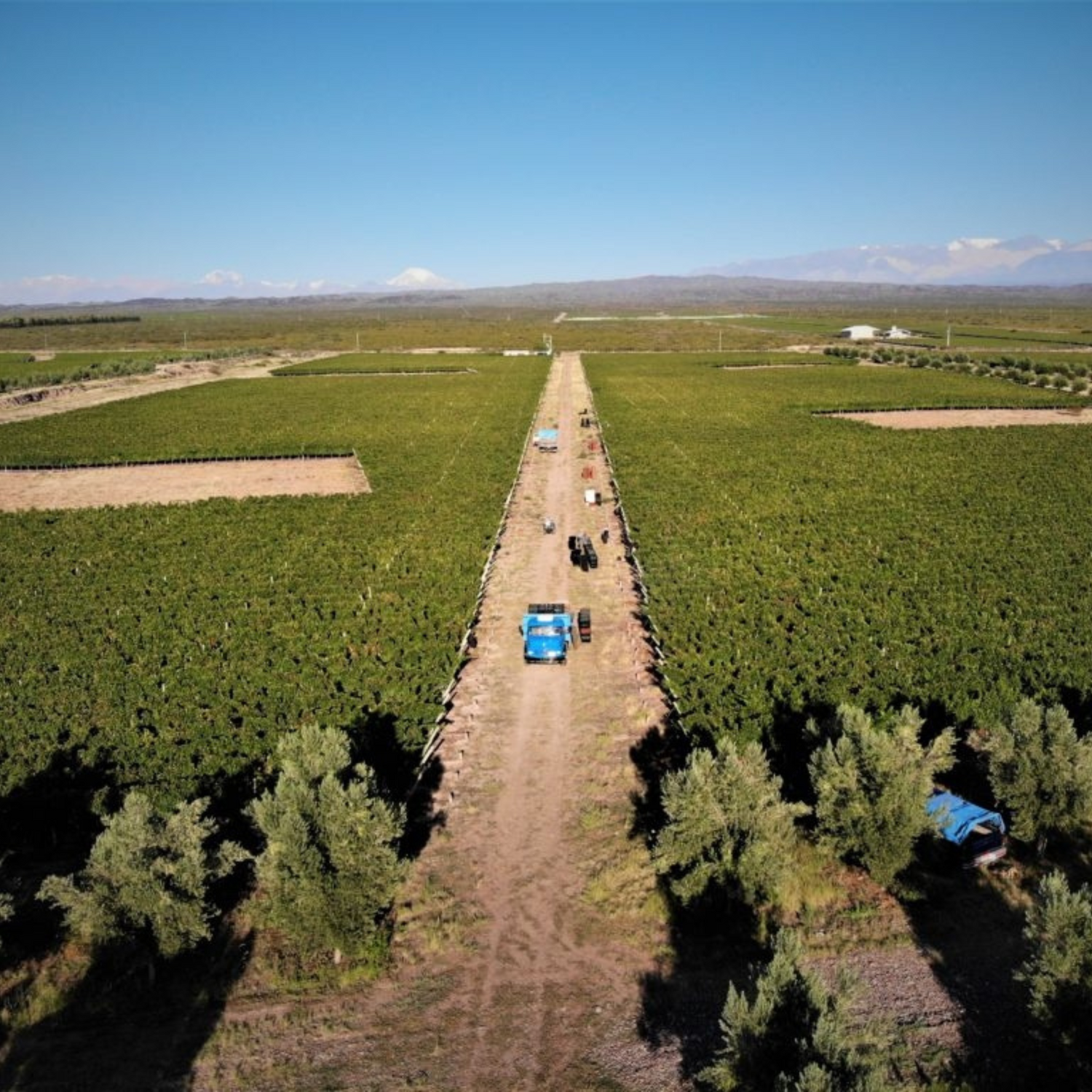CARACTÉRISTIQUES DU TERROIR DE VIGNES DES ANDES