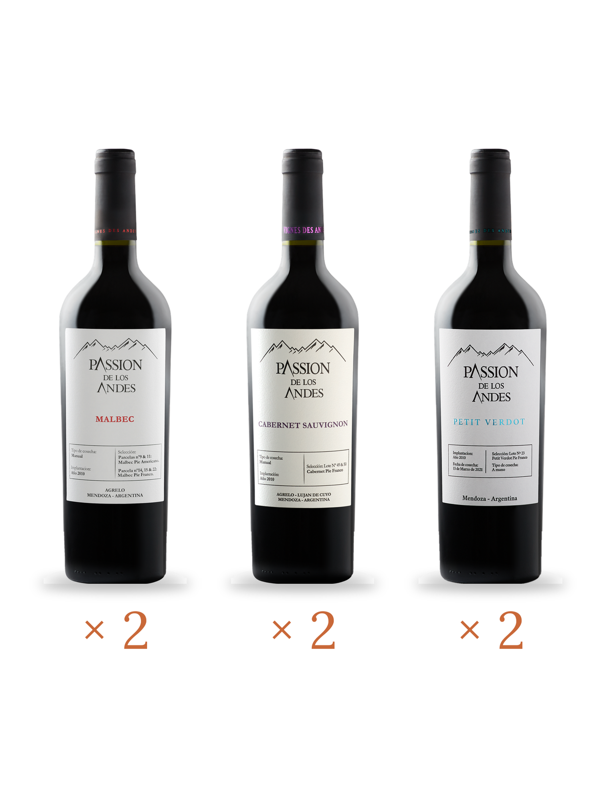 Caisse Découverte Clasico : 6 bouteilles Passion de los Andes (Malbec, Cabernet Sauvignon, Petit Verdot), Vignes des Andes