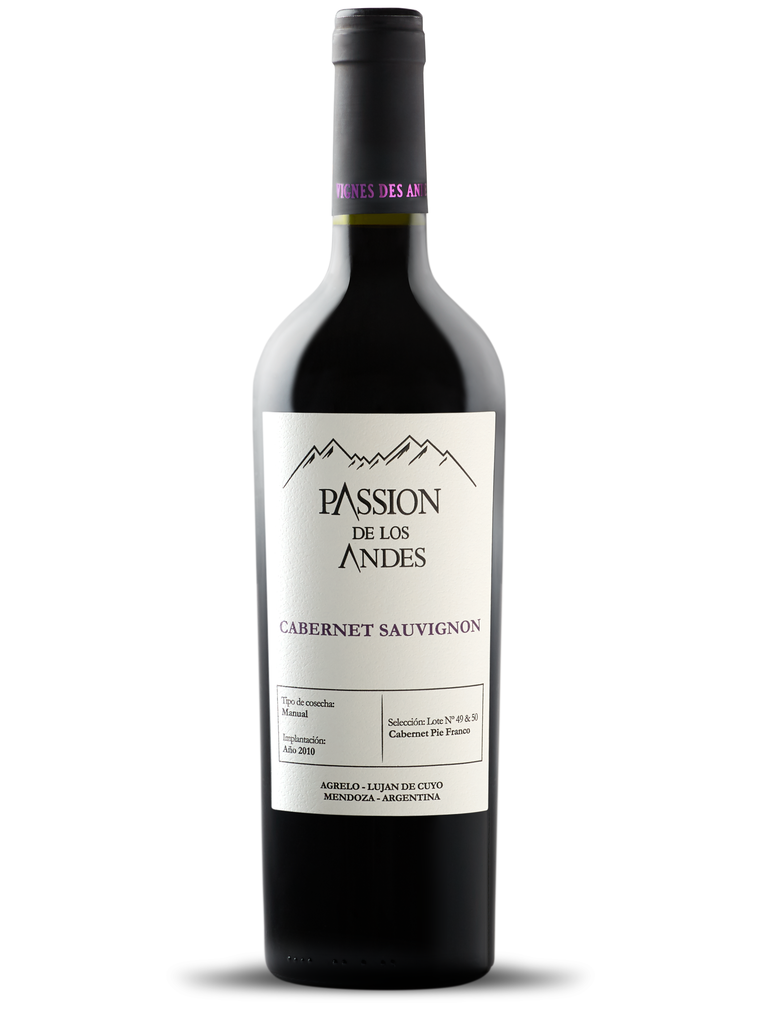 CABERNET SAUVIGNON CLASICO 2021