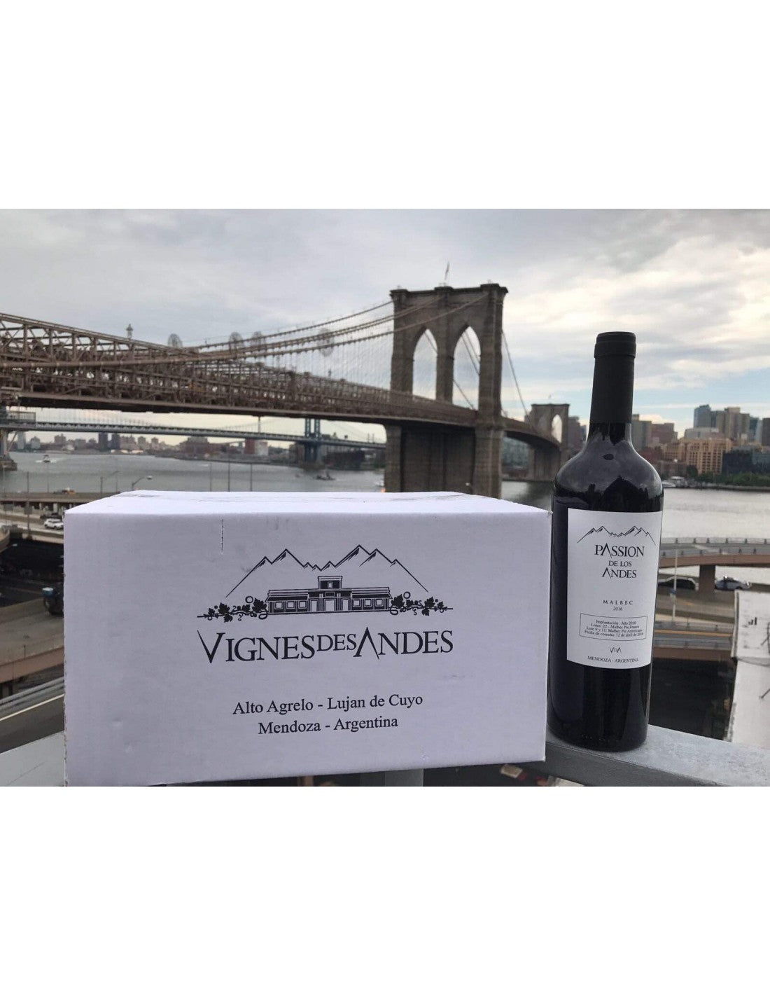 MALBEC 2021 CLASICO