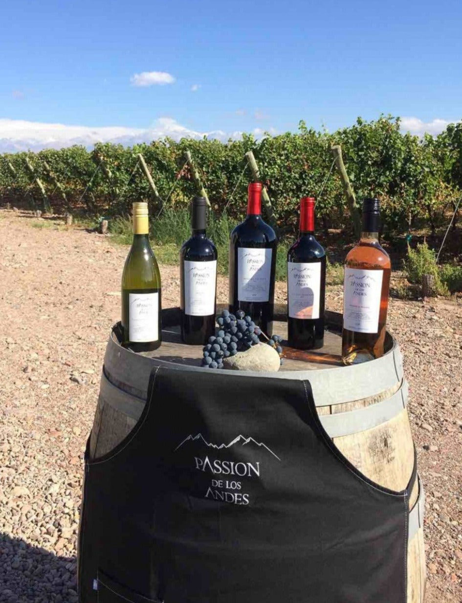 MALBEC 2021 CLASICO