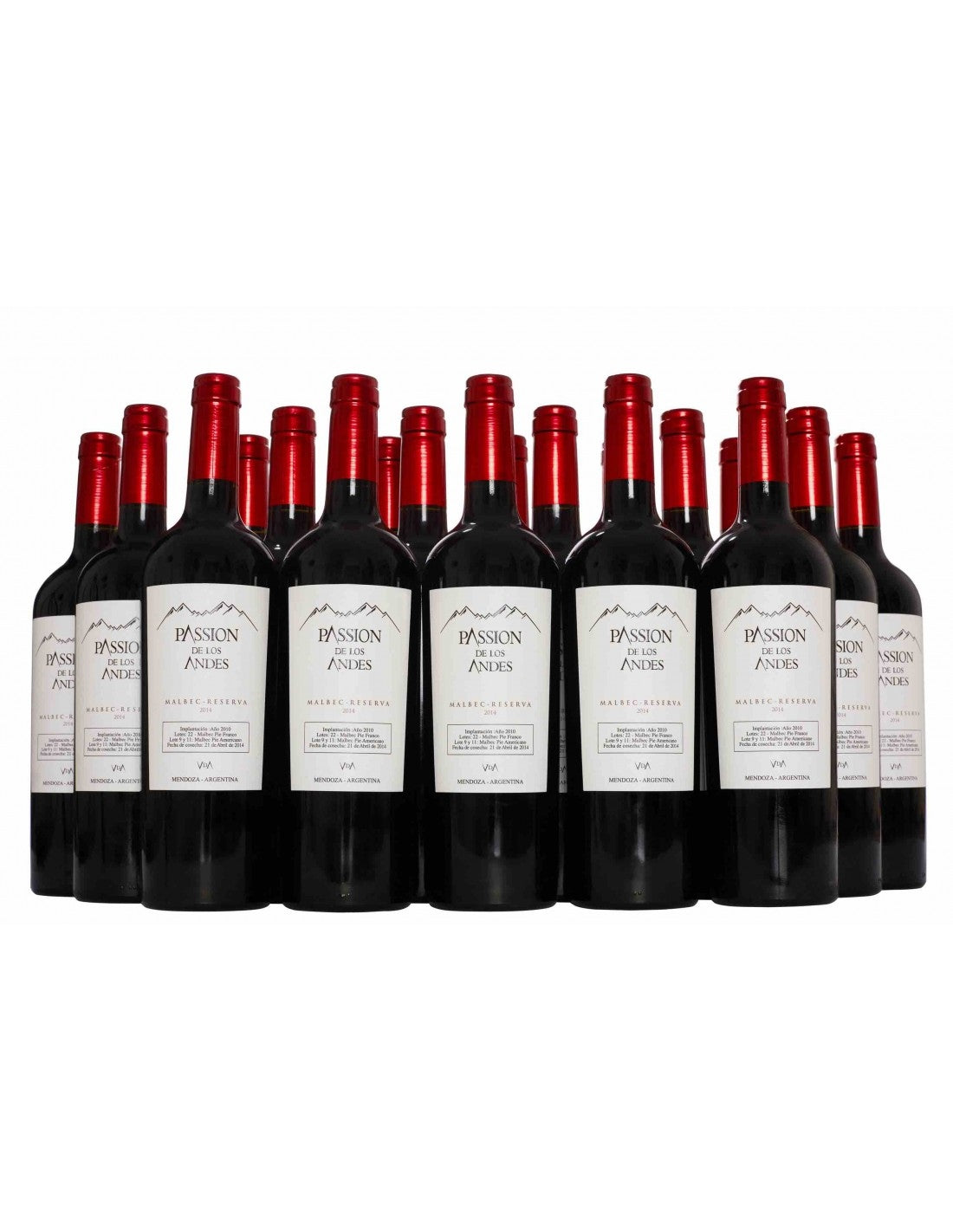 MALBEC COLLECTION 2019