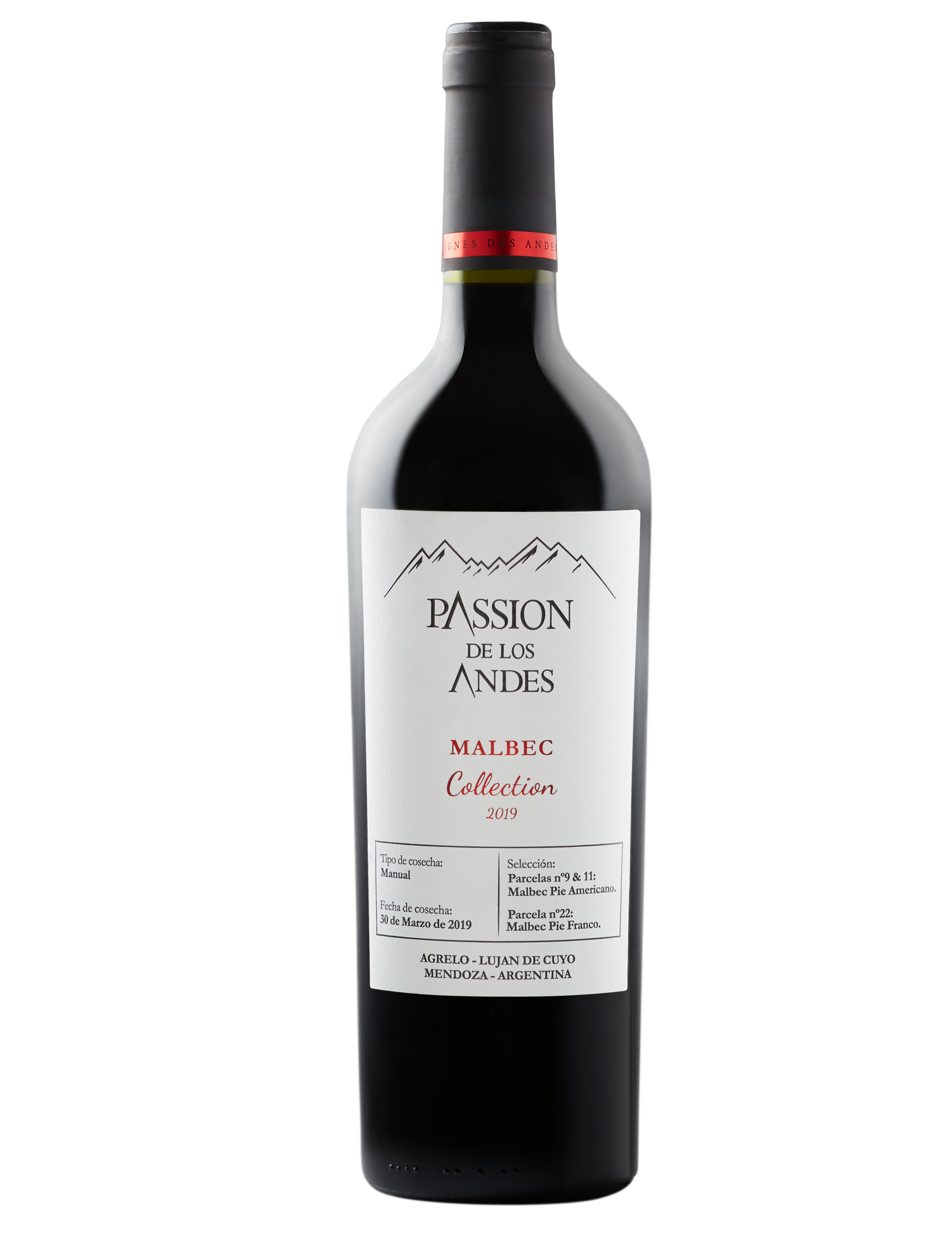 MALBEC COLLECTION 2019