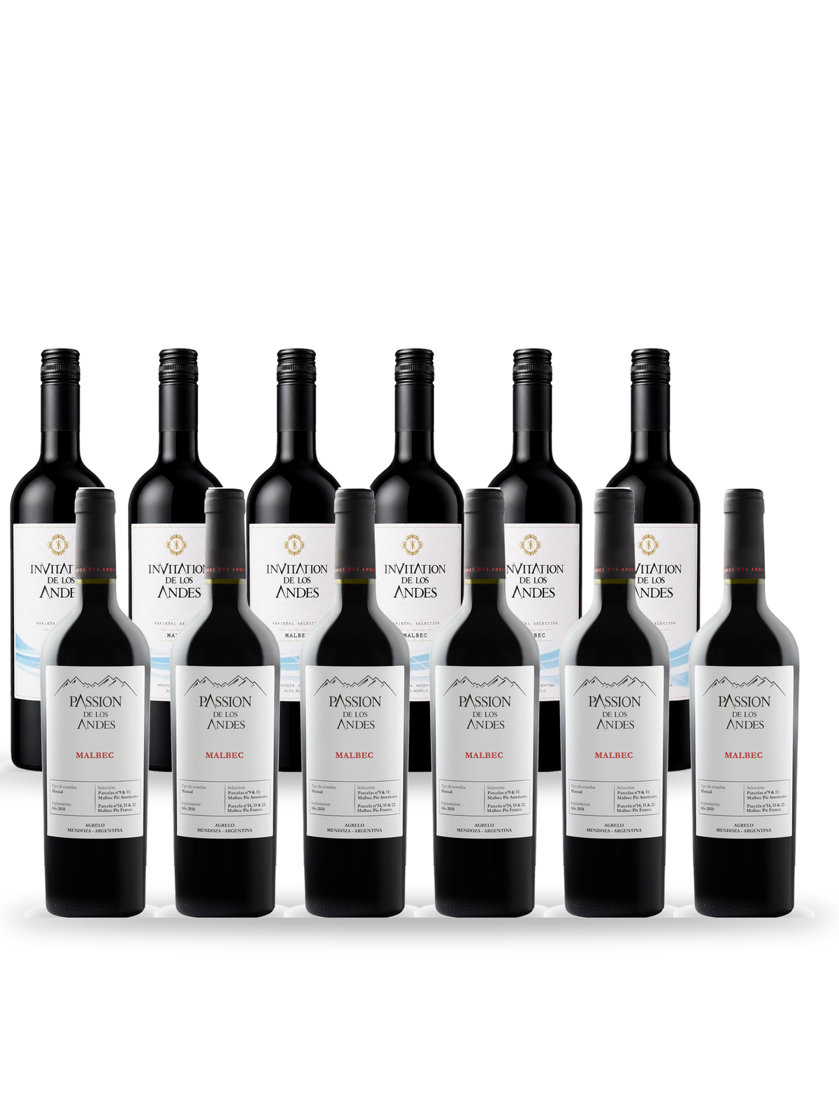 Caisse 12 Malbec : 6 Invitation de los Andes et 6 Malbec Clasico Passion de los Andes, Vignes des Andes