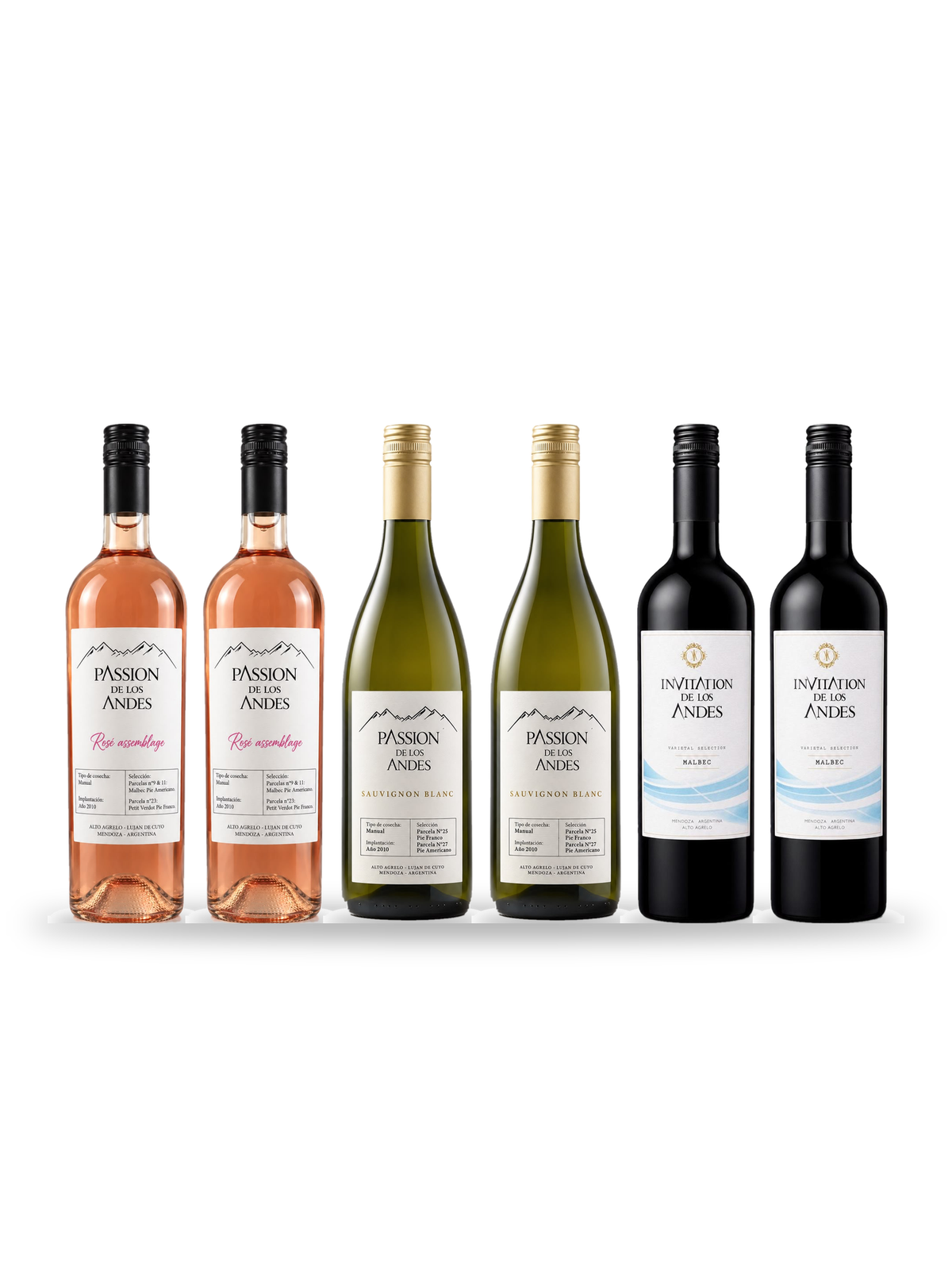 Caisse Apéro : 6 bouteilles Passion de los Andes (Rosado, Sauvignon Blanc, Invitation de los Andes Malbec), Vignes des Andes