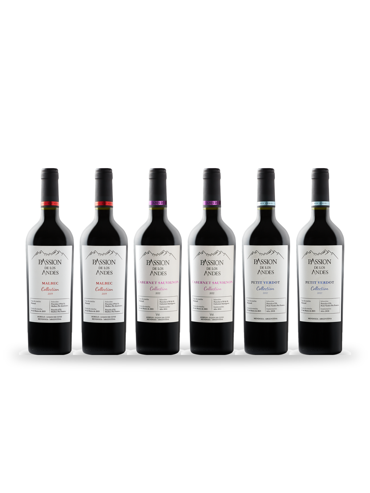Caisse Découverte Collection : 6 bouteilles Passion de los Andes Collection (Malbec, Cabernet Sauvignon, Petit Verdot), Vignes des Andes