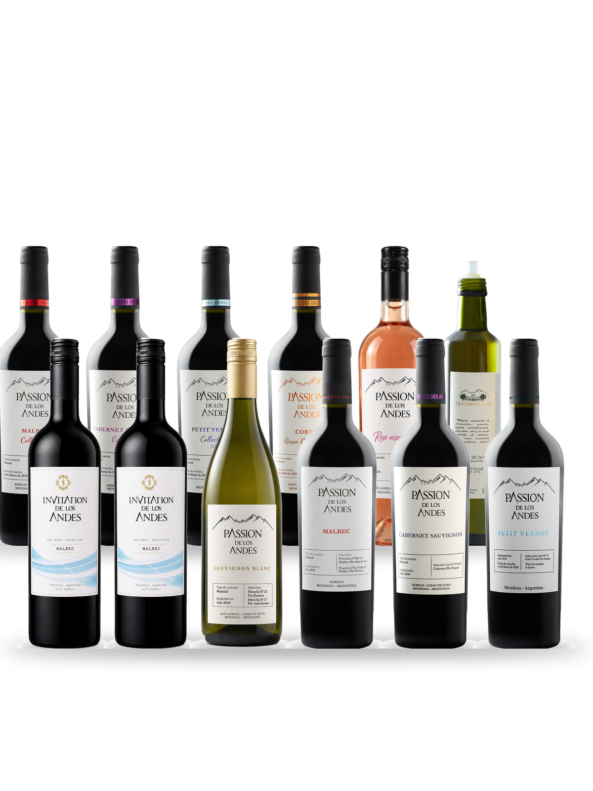 Caisse Toute la gamme : 11 vins Passion de los Andes et une huile d'olive Oliviers des Andes, Vignes des Andes