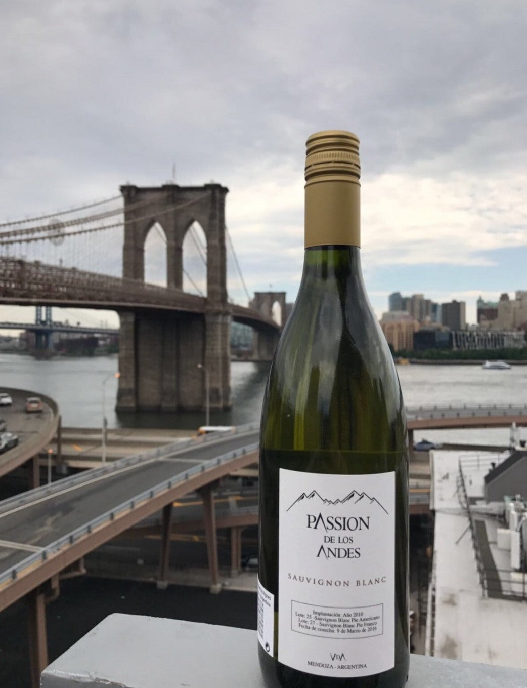 SAUVIGNON BLANC 2022
