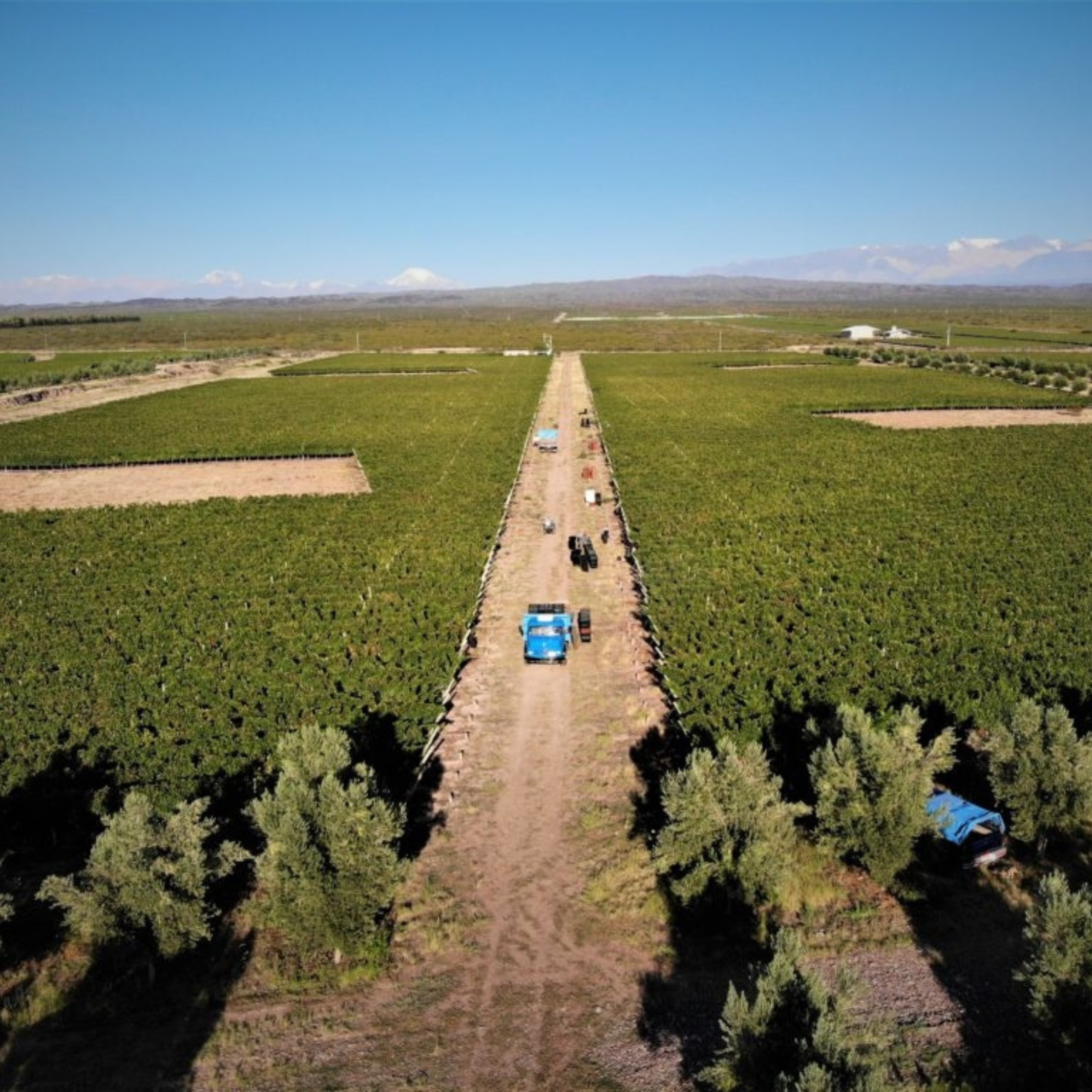 CARACTÉRISTIQUES DU TERROIR DE VIGNES DES ANDES