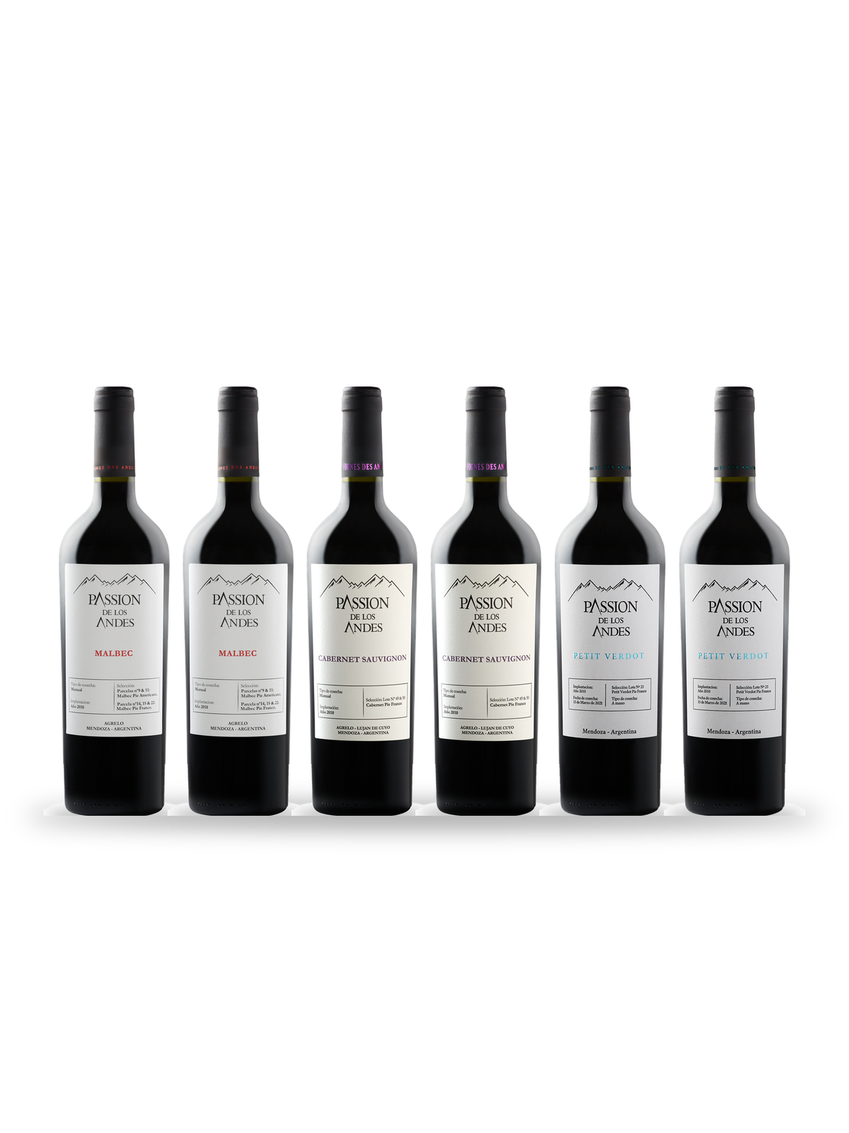 Caisse Découverte Clasico : 6 bouteilles Passion de los Andes (Malbec, Cabernet Sauvignon, Petit Verdot), Vignes des Andes