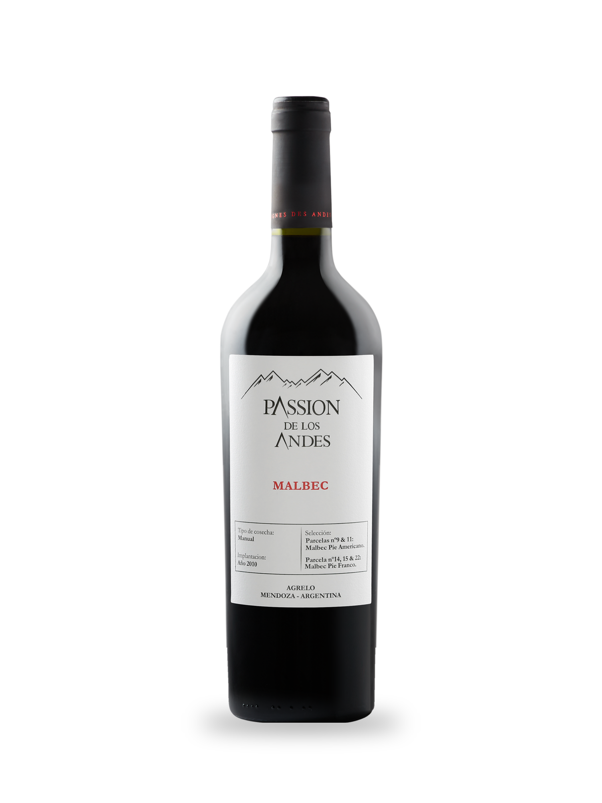 Bouteille de Malbec Passion de los Andes, vin rouge de Mendoza, Vignes des Andes