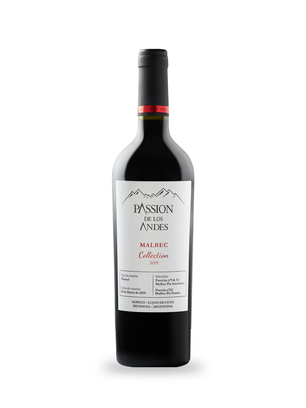 Bouteille de Malbec Collection 2019 Passion de los Andes, vin rouge de Mendoza, Vignes des Andes