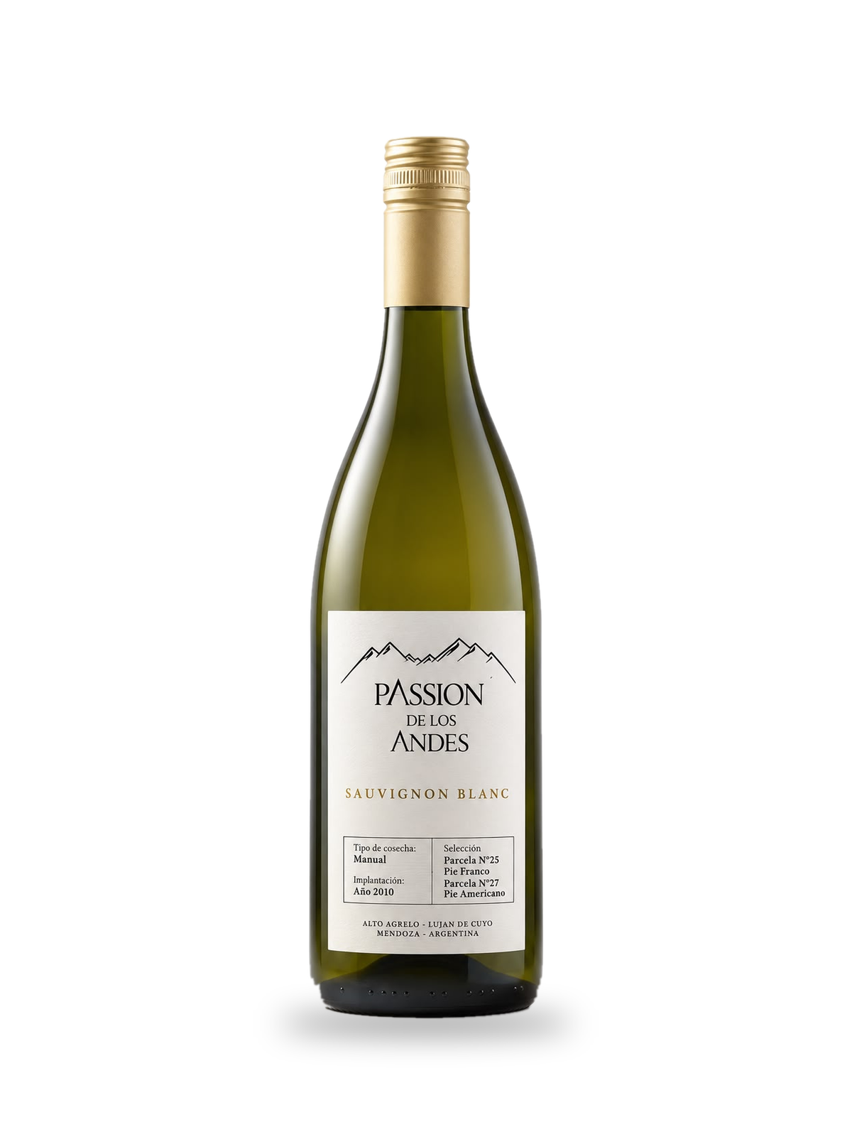 Bouteille de Sauvignon Blanc Passion de los Andes, vin blanc de Mendoza, Vignes des Andes