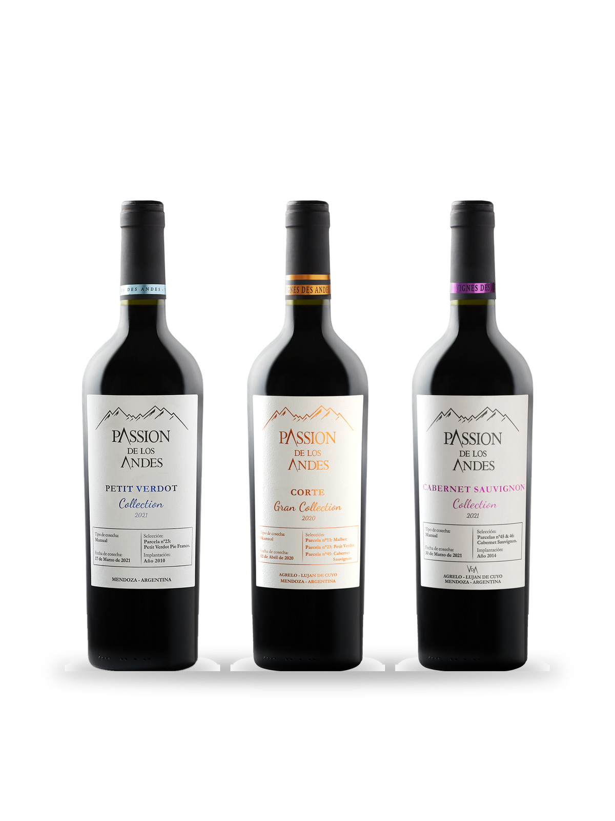 Trio Prestige Passion de los Andes : Corte Gran Collection, Petit Verdot Collection et Cabernet Sauvignon Collection, Vignes des Andes